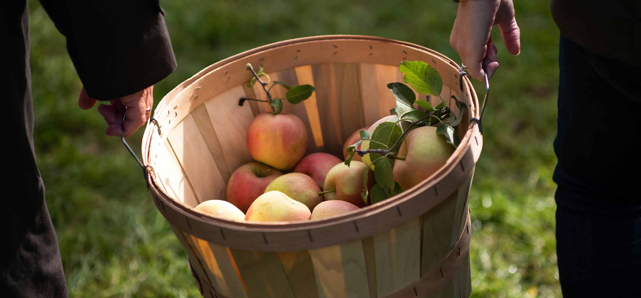 The Skinny on Fibre