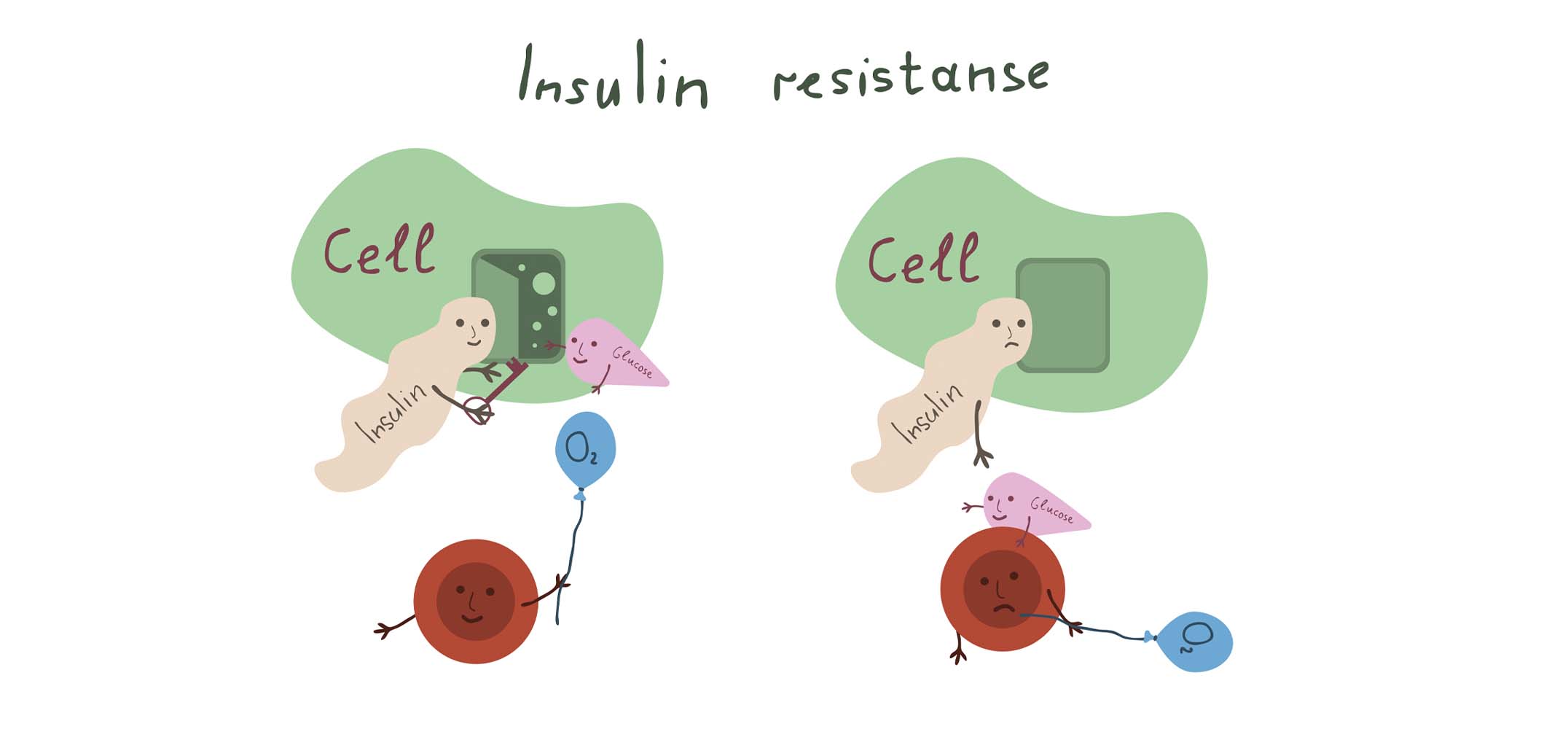 Insulin Resistance