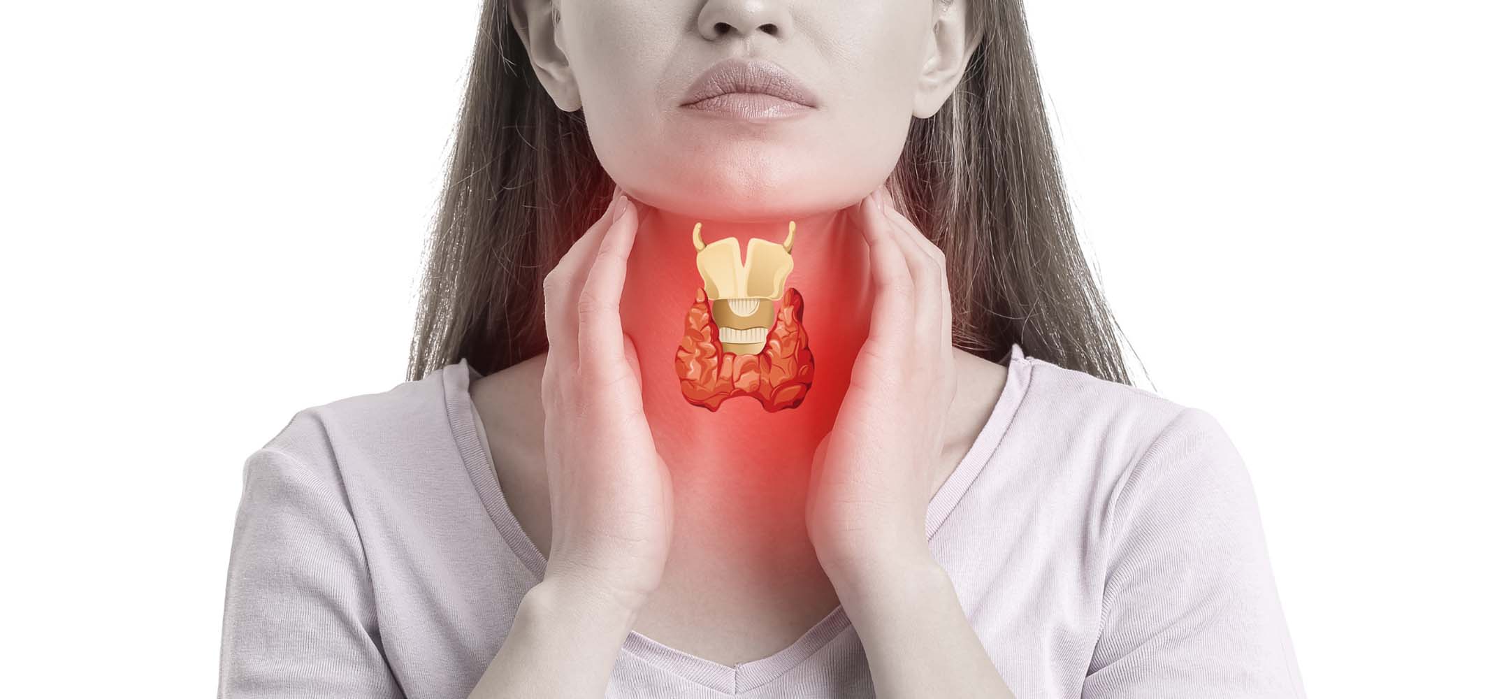 CAN YOUR LIVER AFFECT YOUR THYROID?