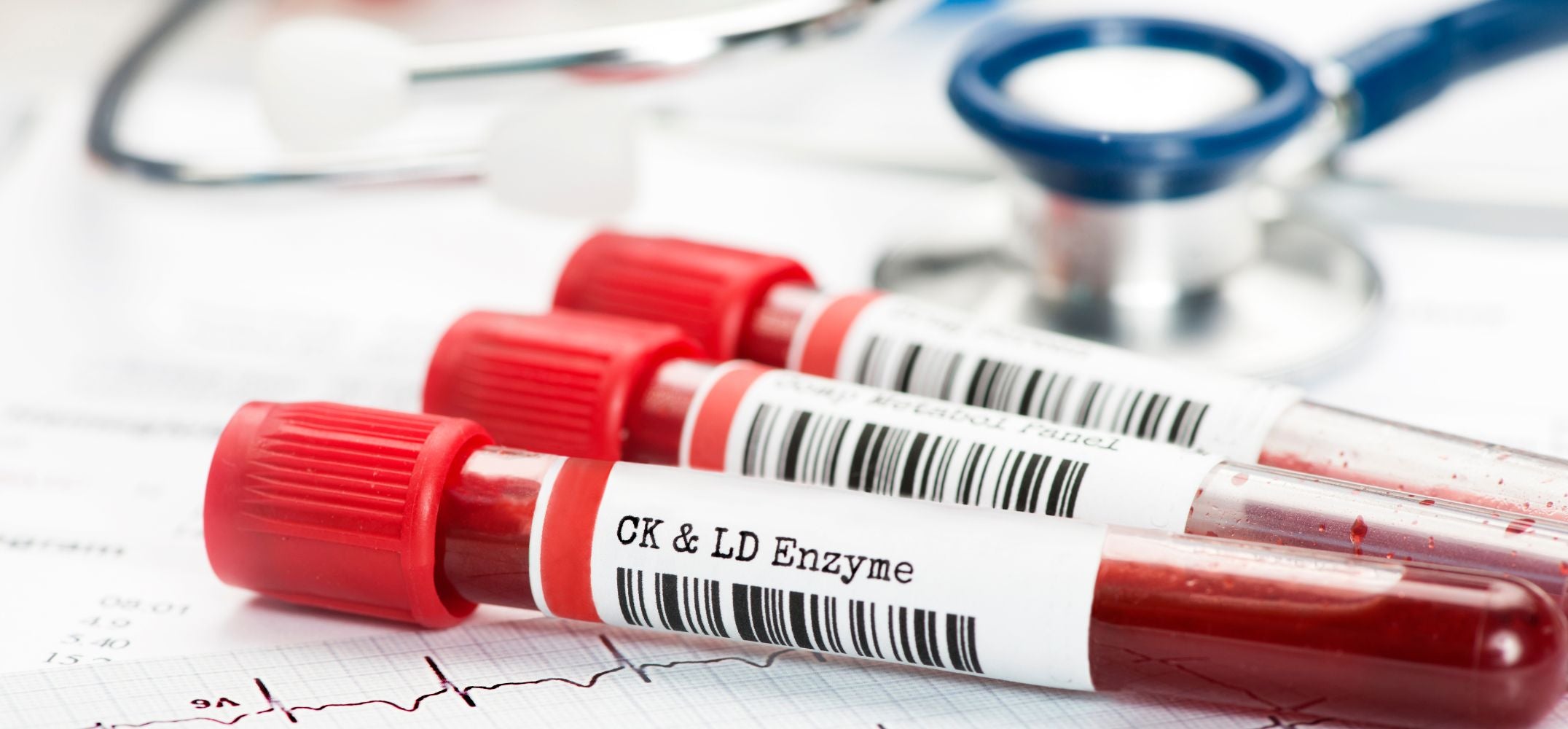 Understanding your blood results
