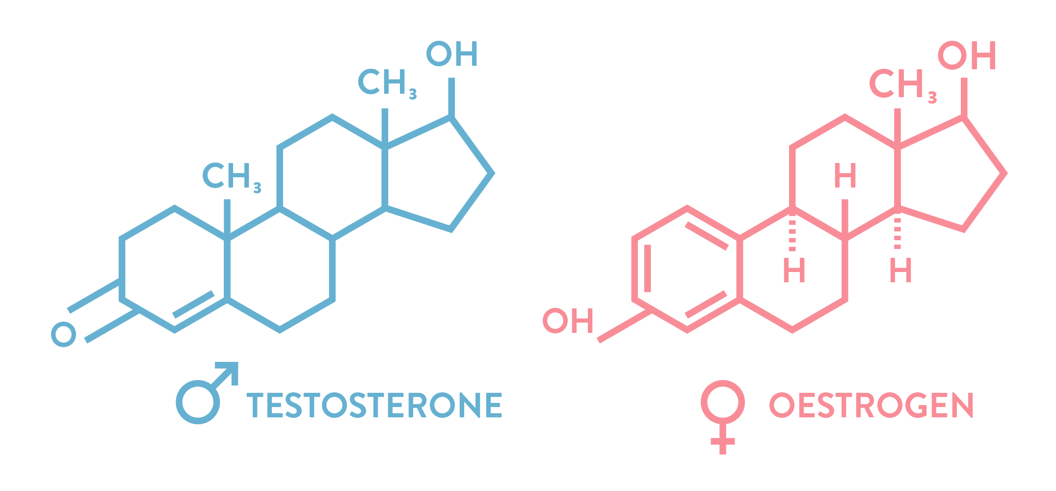 Menopause Hormones