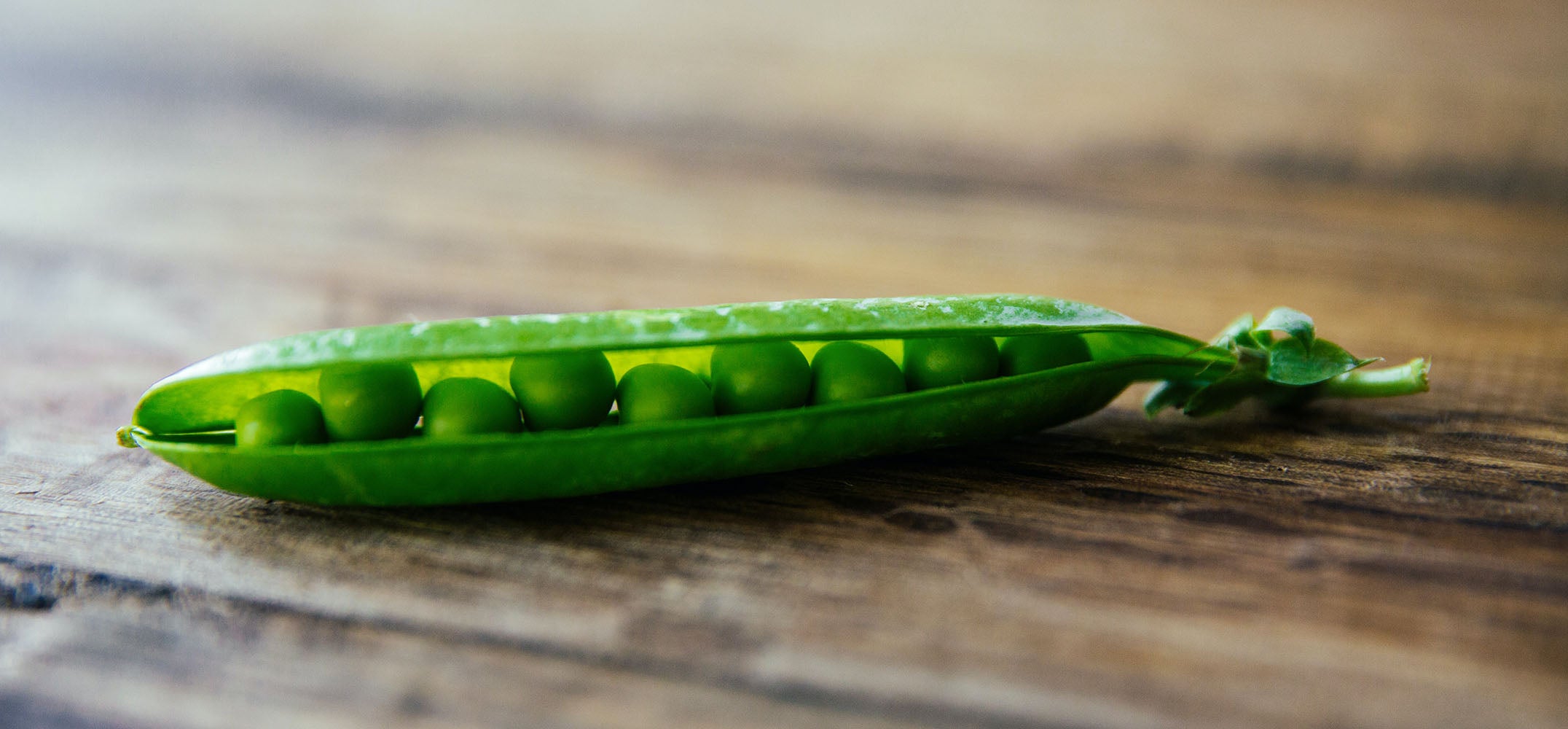 Pea protein for vegans