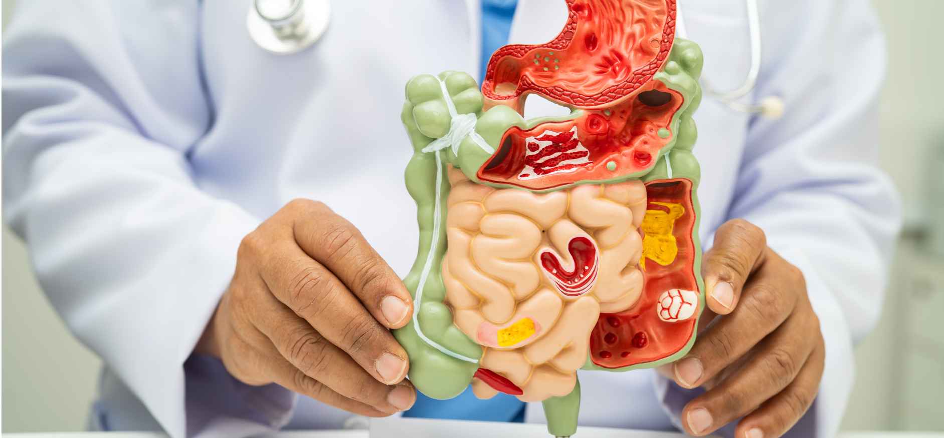 Gut health basics 101