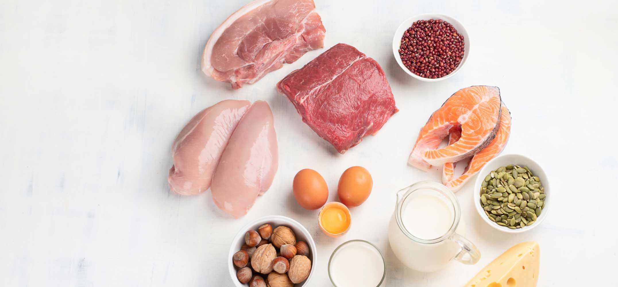 The different types of protein