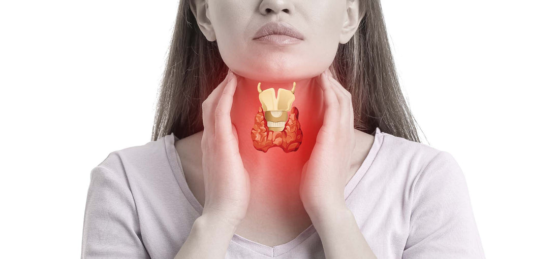 CAN YOUR LIVER AFFECT YOUR THYROID?