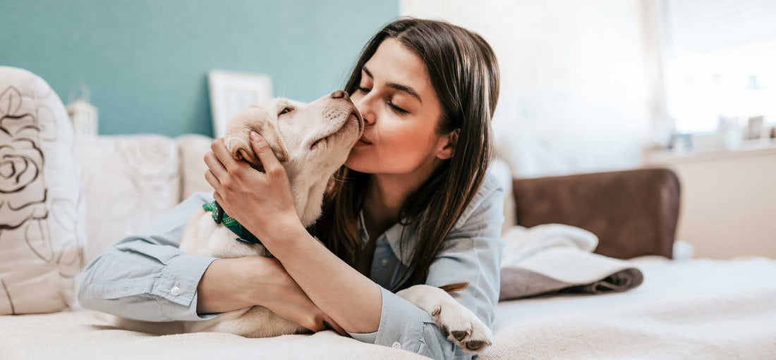 The healing powers of pets