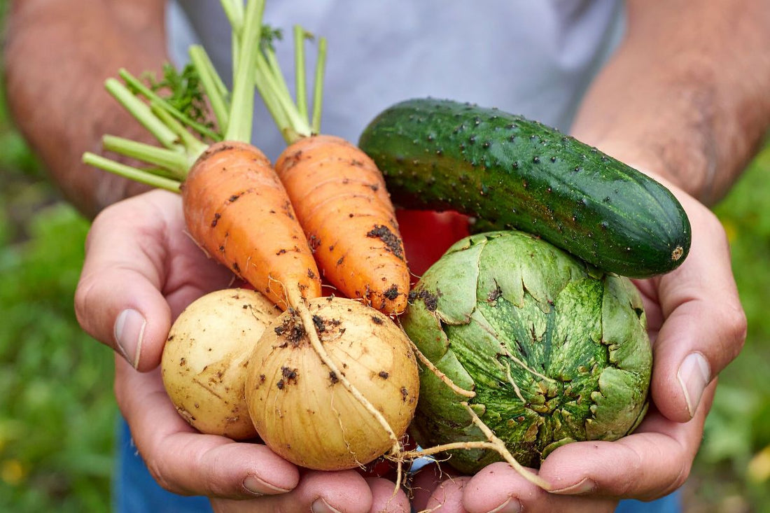 How to grow a useful veggie patch