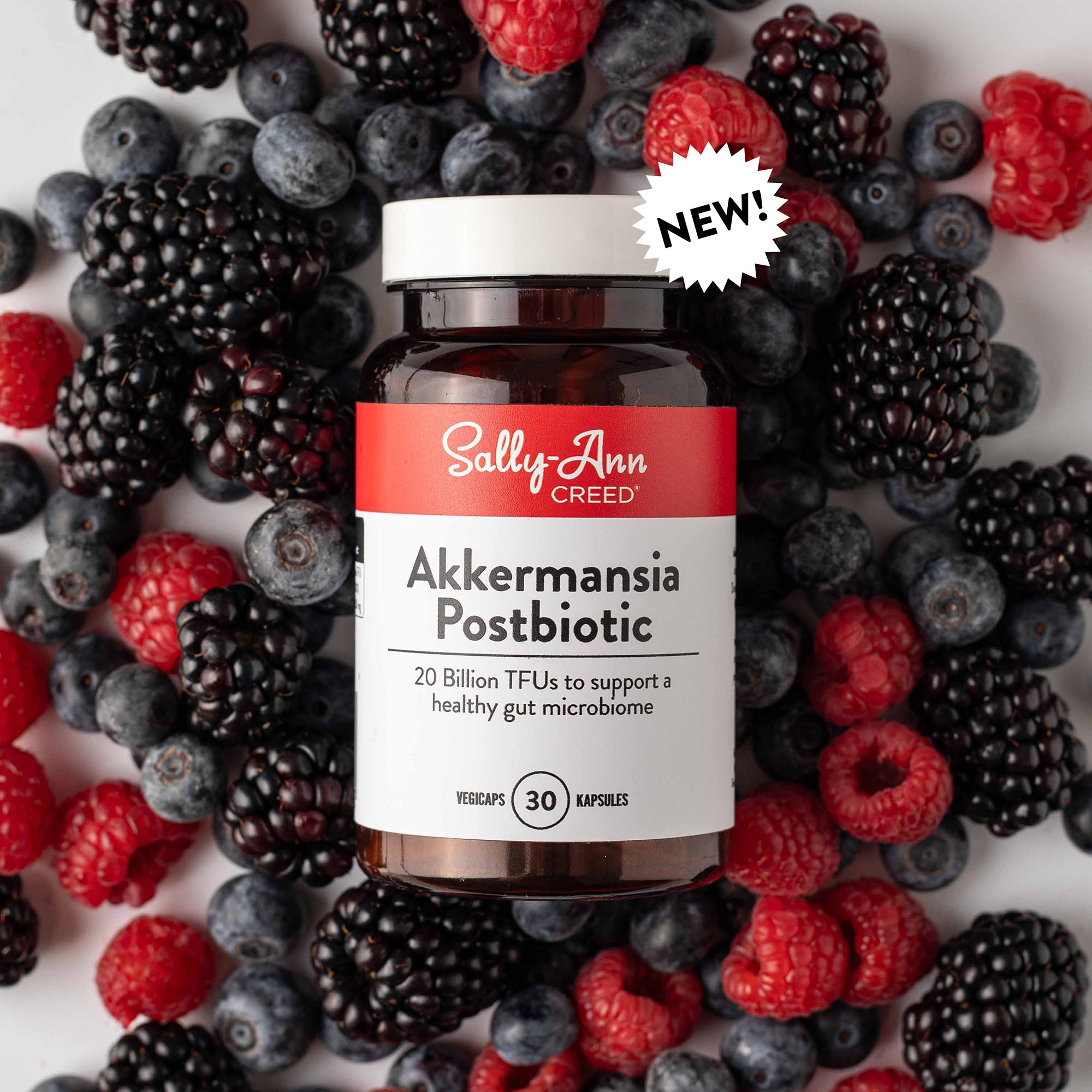 Akkermansia Postbiotic
