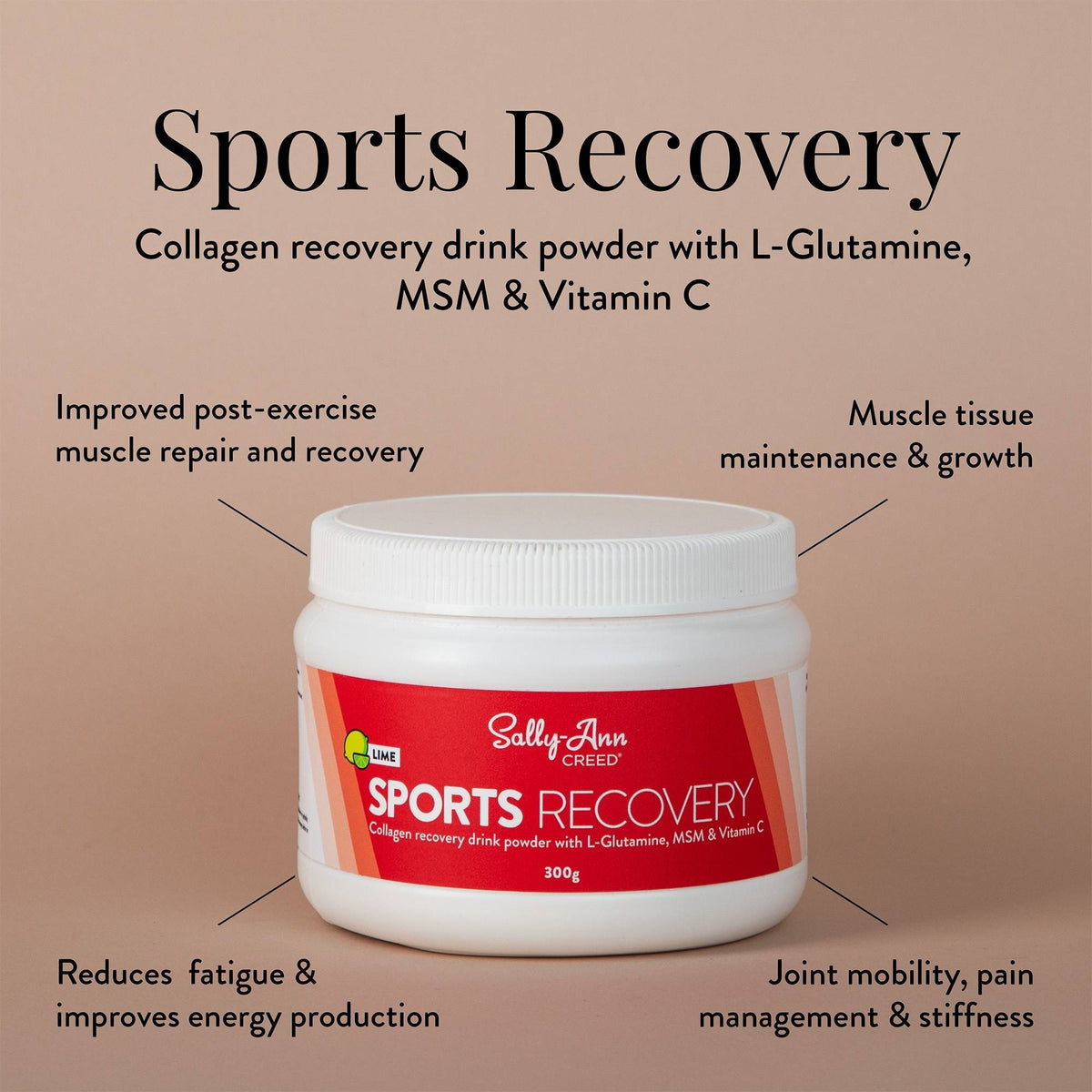 Sports Recovery Drink (Blueberry)