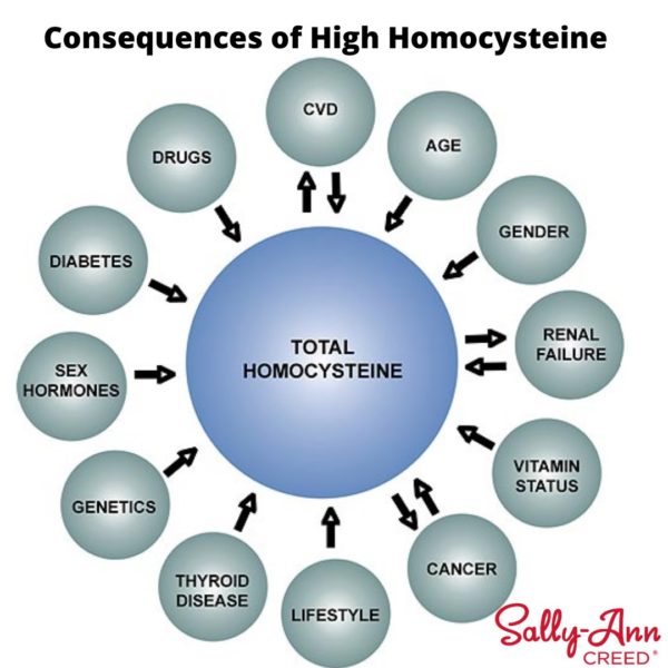 Homocysteine Levels