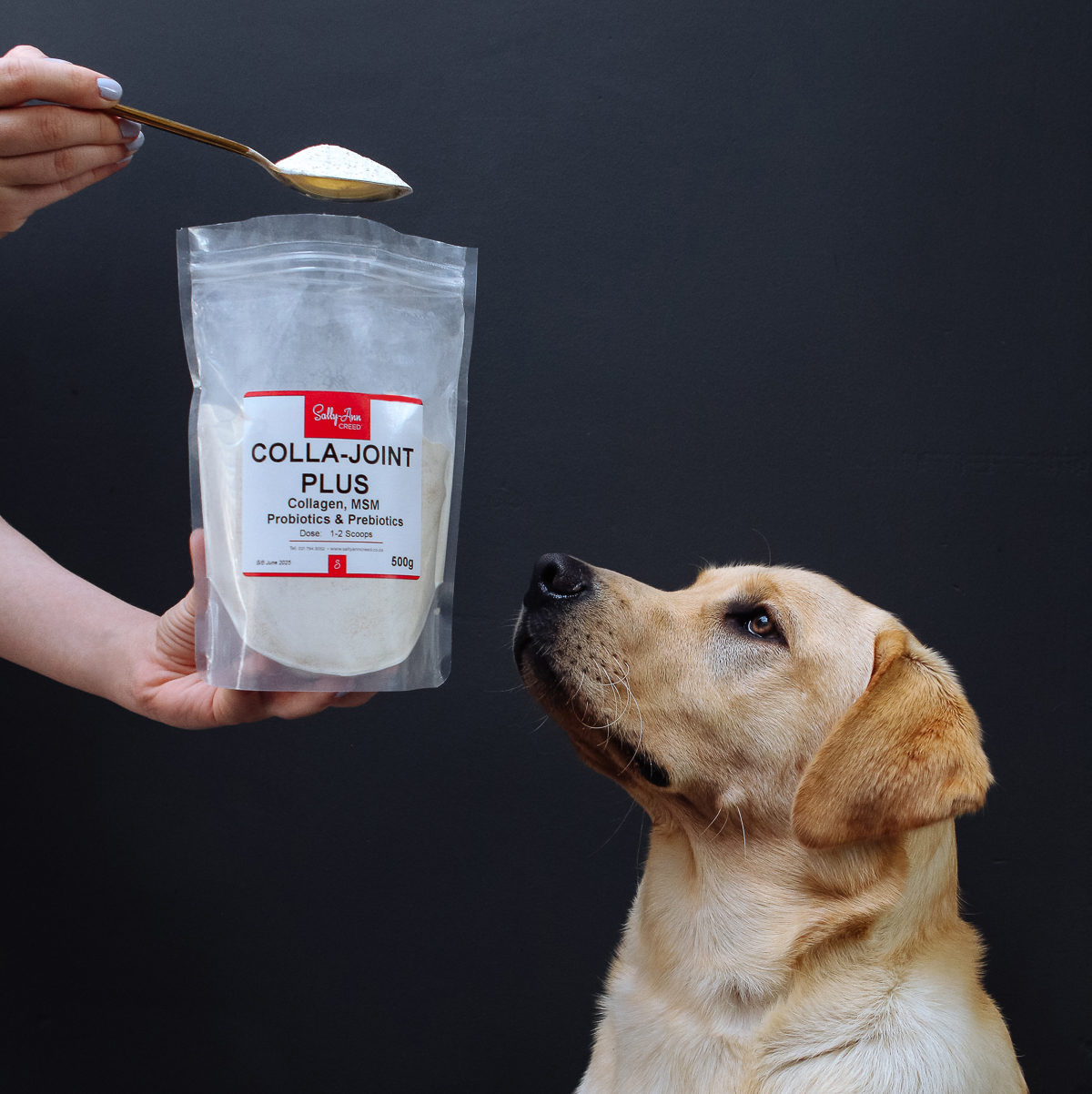 Colla-joint plus with Dog