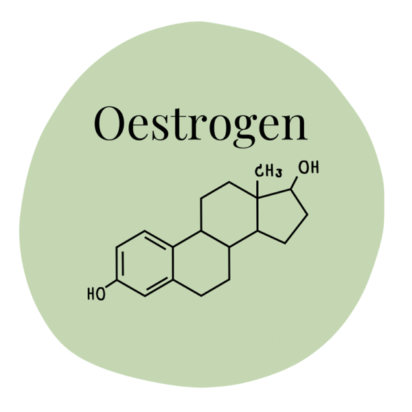 Blog_Oestrogen